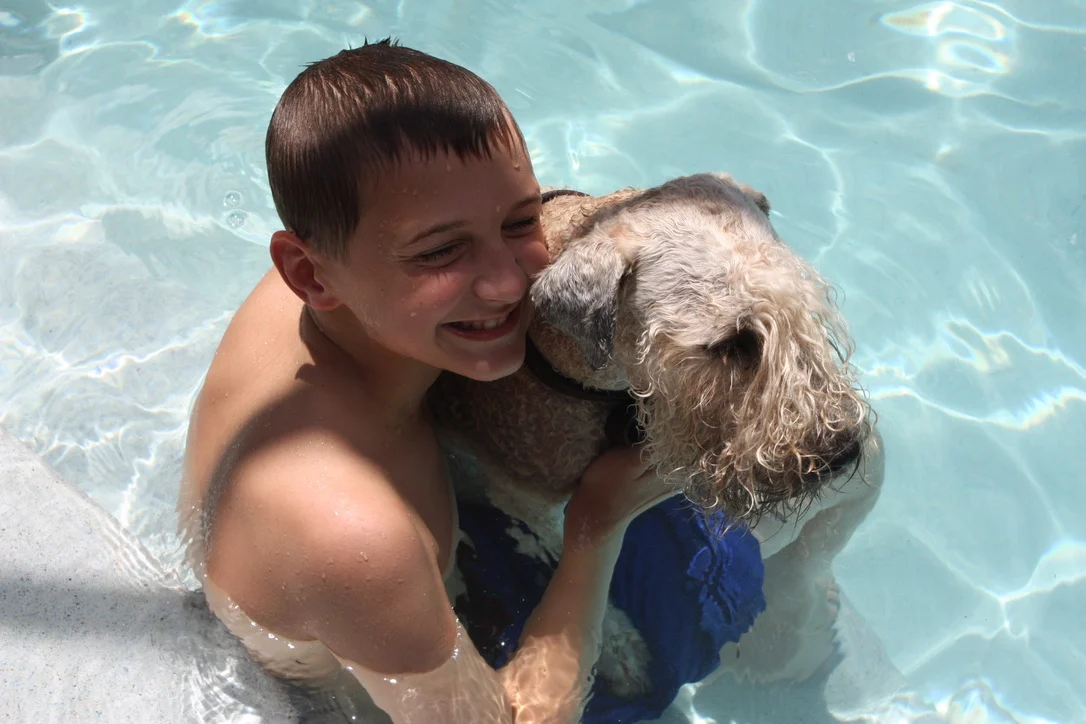 Photo of dog in the pool with child.